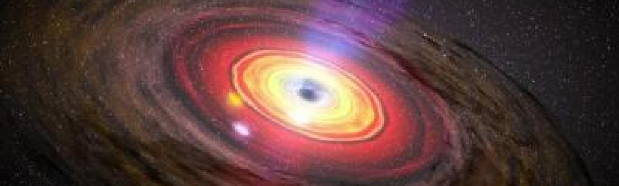 Black Holes